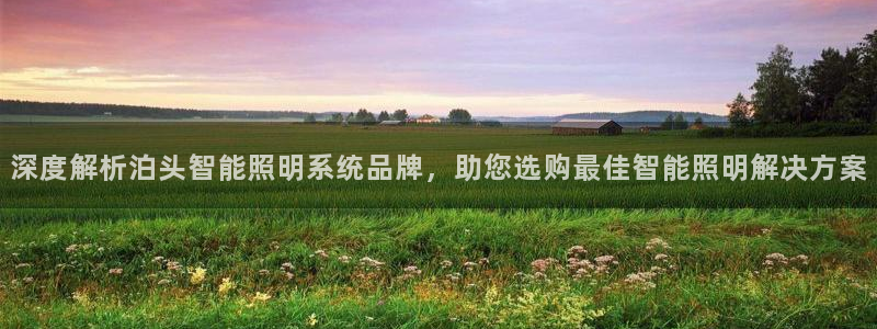 千亿国际qy88vip下载：深度解析泊头智能照明系统品牌，助您选购最佳智能照明解决方案