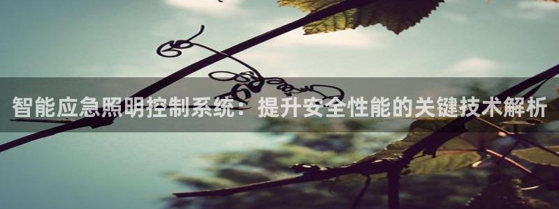 千亿国际真人：智能应急照明控制系统：提升安全性能的关键技术解析