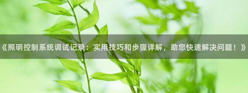 千亿国际(唯一)平台:《照明控制系统调试记录:实用技巧和步骤详解,助您快速解决问题!》