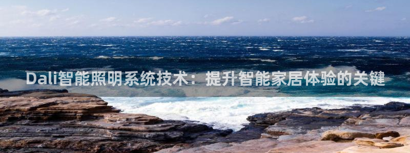 千亿国际手机版下载官网:Dali智能照明系统技术:提升智能家居体验的关键
