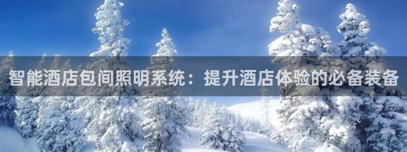 千亿国际游戏：智能酒店包间照明系统：提升酒店体验的必备装备