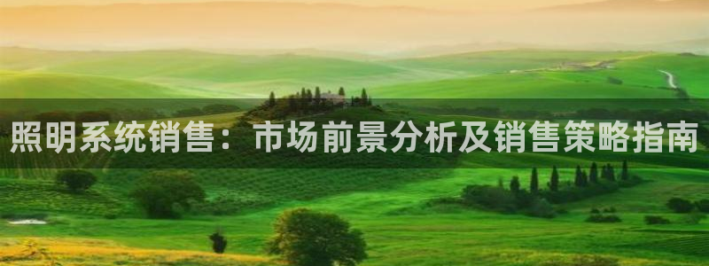 千亿国际qy996：照明系统销售：市场前景分析及销售策略指南