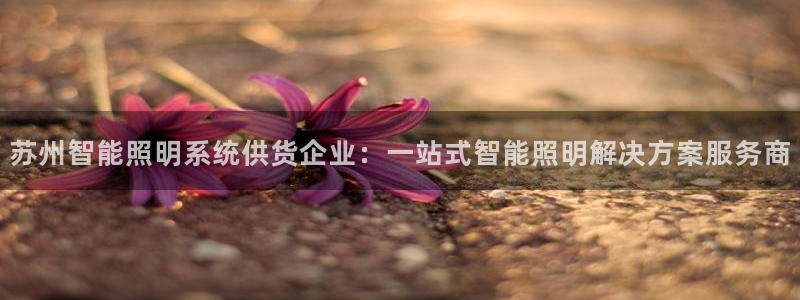 千亿国际手机登录网站:苏州智能照明系统供货企业:一站式智能照明解决方案服务商