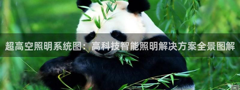 千亿国际全新官网:超高空照明系统图:高科技智能照明解决方案全景图解