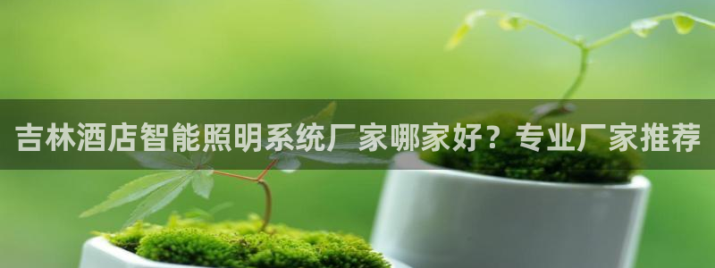 千亿国际官方手机版:吉林酒店智能照明系统厂家哪家好?专业厂家推荐