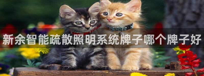 千亿国际中国官方:新余智能疏散照明系统牌子哪个牌子好