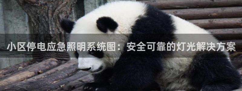 千亿国际服：小区停电应急照明系统图：安全可靠的灯光解决方案