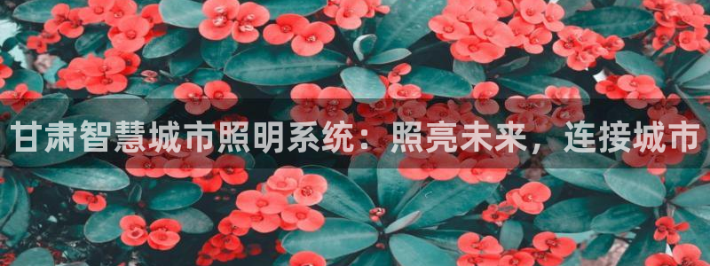 千亿国际pt游戏:甘肃智慧城市照明系统:照亮未来,连接城市
