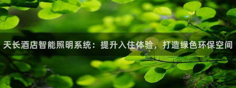千亿国际平台怎么样知乎:天长酒店智能照明系统:提升入住体验,打造绿色环保空间