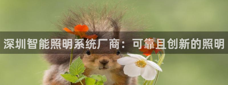 千亿国际欧阳文昊怎么样知乎:深圳智能照明系统厂商:可靠且创新的照明