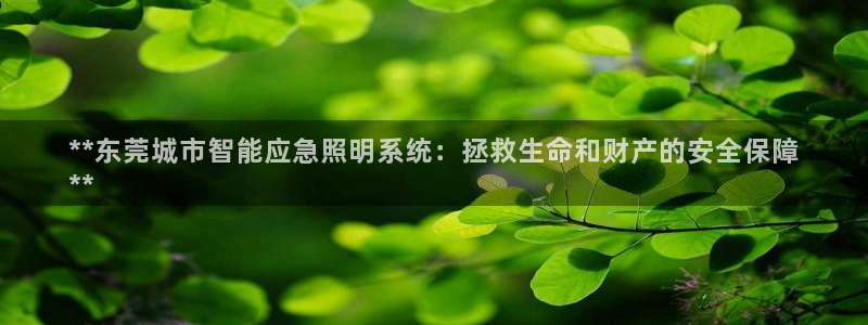 千亿国际芯片怎么样:**东莞城市智能应急照明系统:拯救生命和财产的安全保障
**