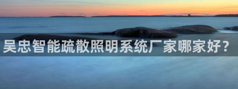 千亿国际电子游戏平台中心：吴忠智能疏散照明系统厂家哪家好？