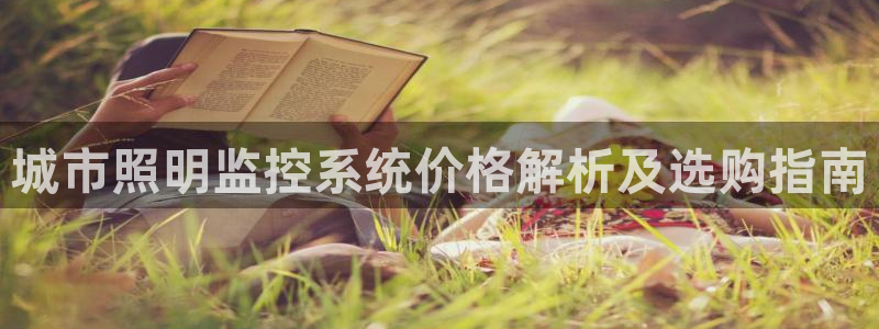 千亿国际线粒体：城市照明监控系统价格解析及选购指南