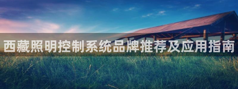 千亿国际pt游戏有哪些:西藏照明控制系统品牌推荐及应用指南