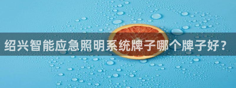 千亿国际在线登录：绍兴智能应急照明系统牌子哪个牌子好？
