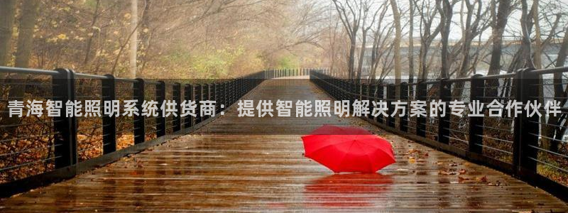 千亿国际网页版登录下载:青海智能照明系统供货商:提供智能照明解决方案的专业合作伙伴