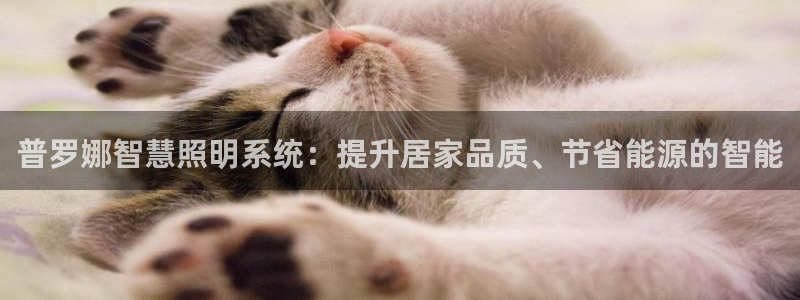 千亿国际pt游戏:普罗娜智慧照明系统:提升居家品质、节省能源的智能