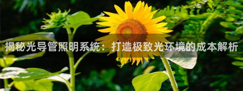 千亿国际打彩是真的吗还是假的:揭秘光导管照明系统:打造极致光环境的成本解析