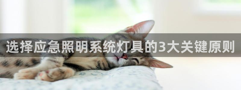 千亿国际是做什么的呢:选择应急照明系统灯具的3大关键原则